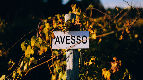 Vilacetinho Vinho Verde Avesso e Alvarinho Superior 2020