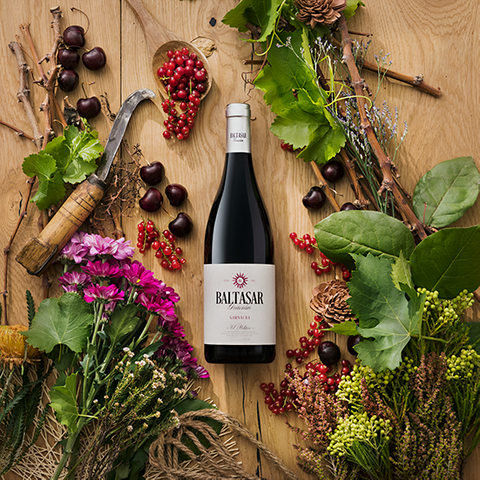 Baltasar Gracian Garnacha 2019